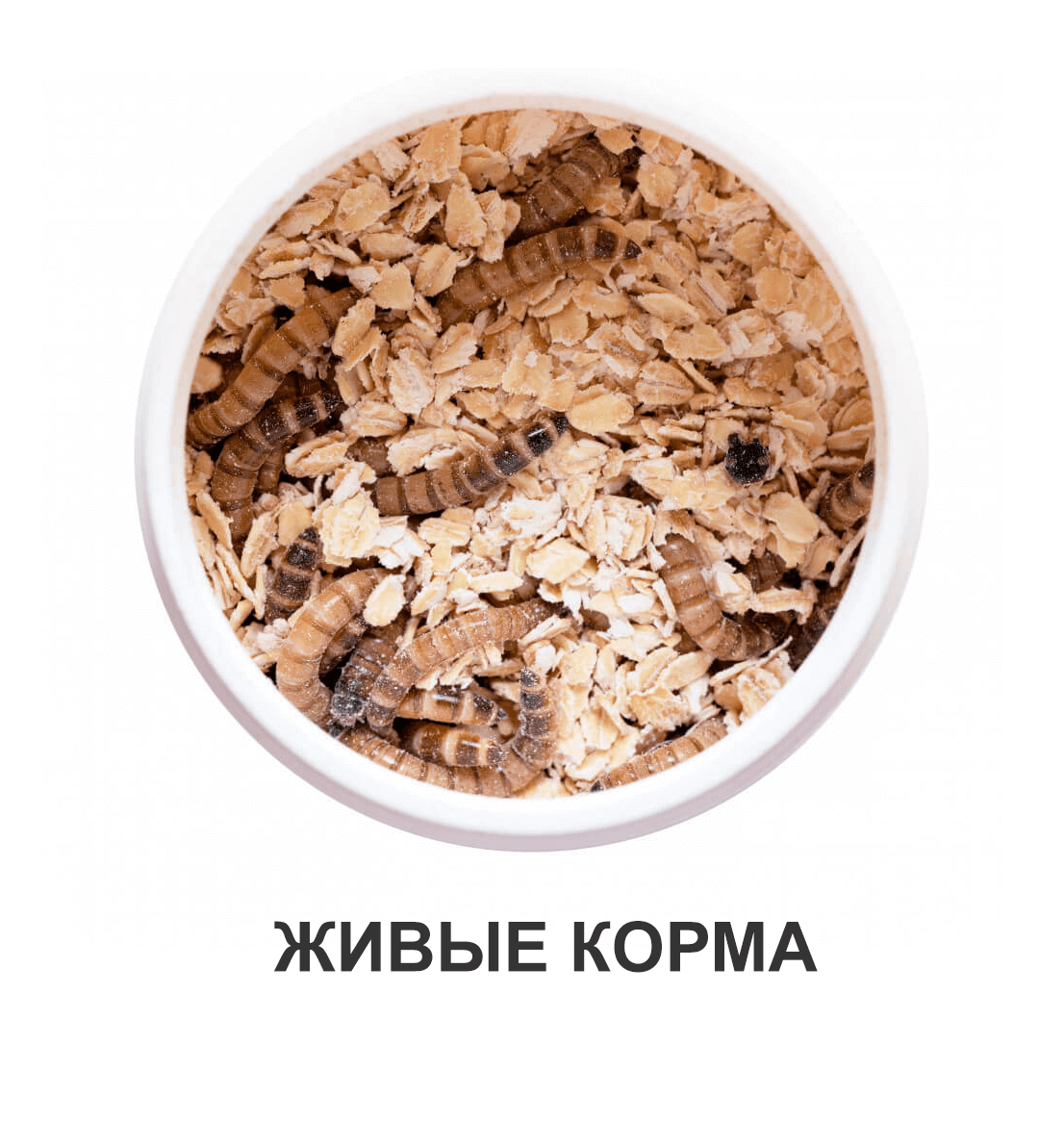 Живые корма