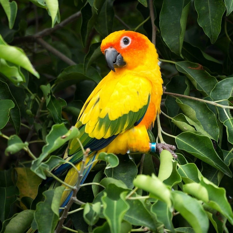 Үлкен және тәтті сиськи