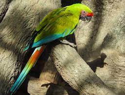 Без названия