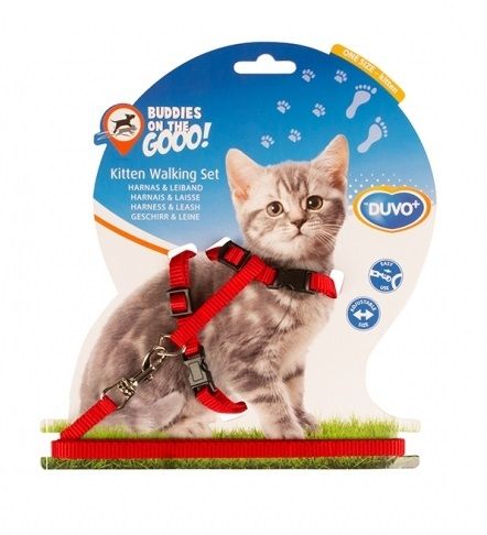 ab912isxqo1213vte0mmvzv2akles9u8