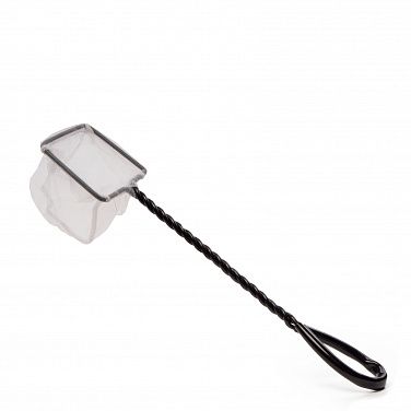 xe4psxgkvq722l8m0qox3x56h46o4phh