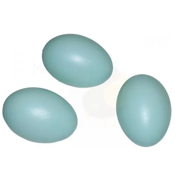 Яйцо пластиковое утиное Duck egg