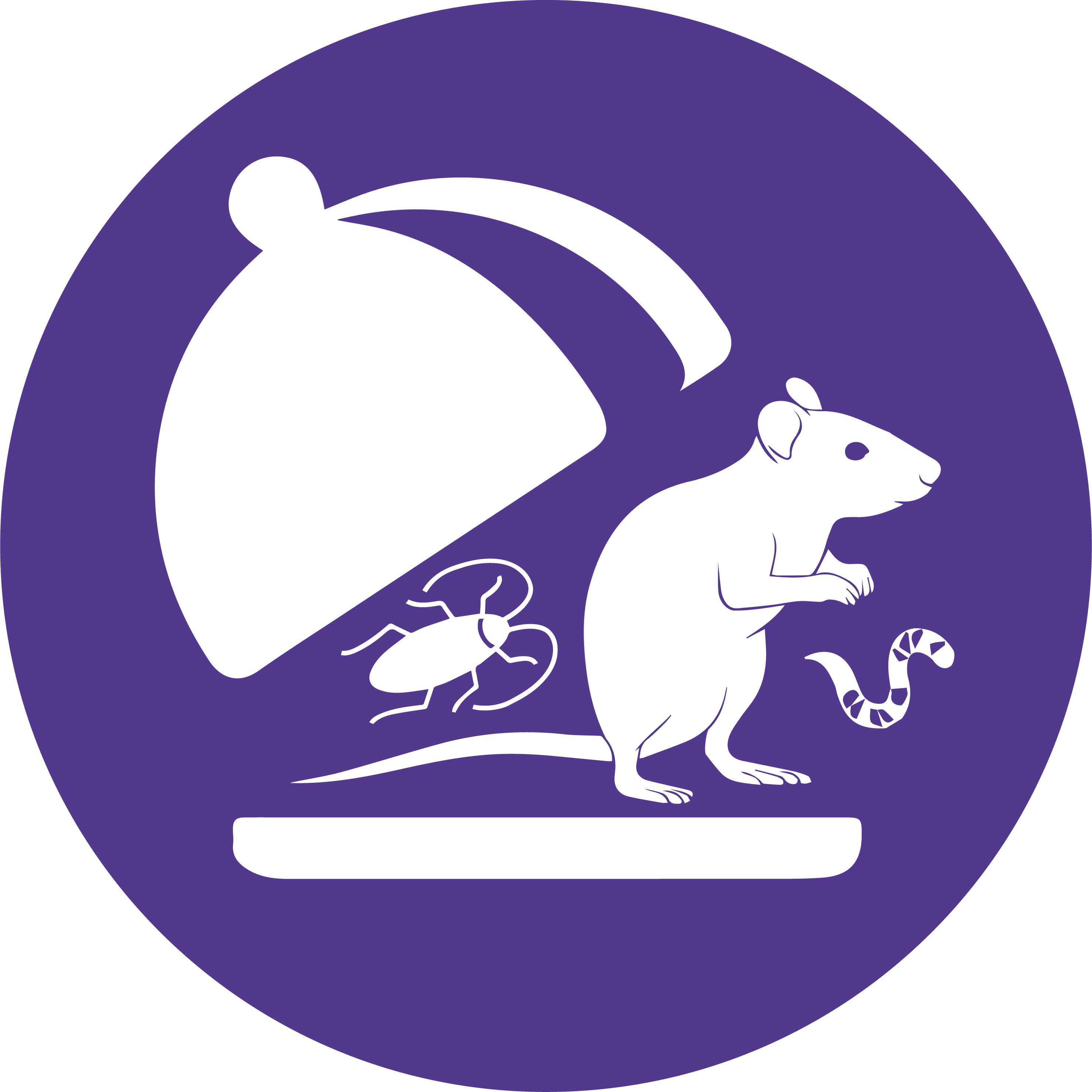 Живые корма