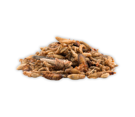 Микс замароженный