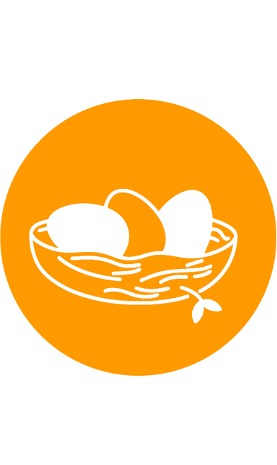 Птицеводство