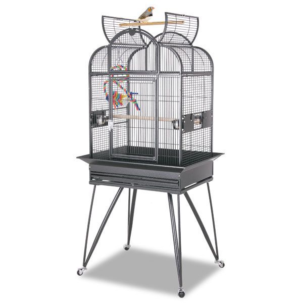 bd4h11fsmfap1yw6ftz08q2khp7ep1b3