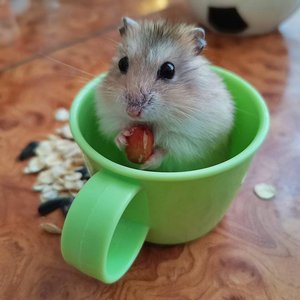 1647169164120425999.jpg 1647169164120425999.jpg