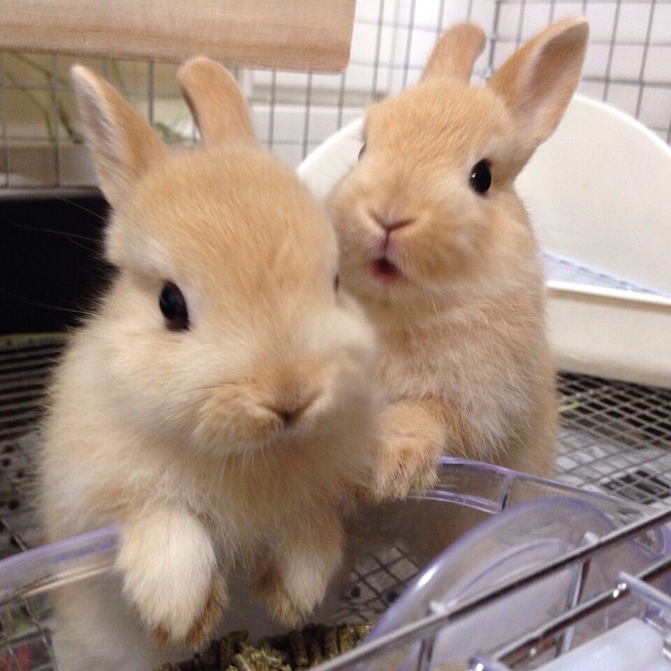 f1234465a560953afe668b25c44254c5.jpg f1234465a560953afe668b25c44254c5.jpg