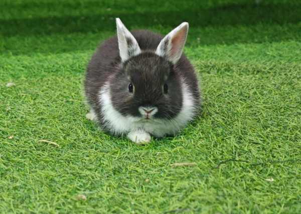 IMG_20260318_191034_068