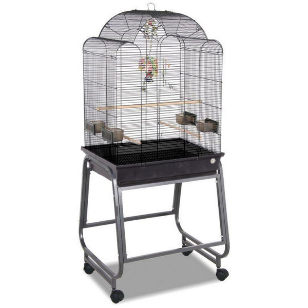 nk0jpfwp6nam15u6s4q00qvcssuiovj4