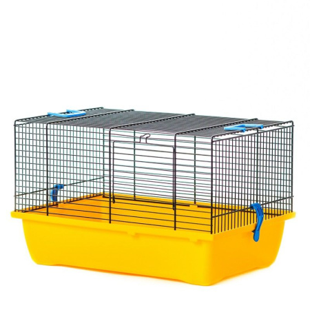 G031 Клетка для грызунов TEDDY LUX (GINO Color) пустая 420х290х260 (цветной прут) INTER-ZOO