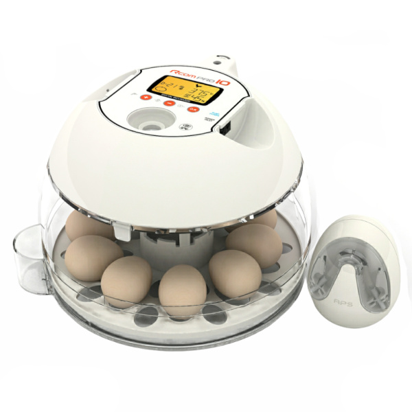 Rcom Инкубатор 10 PRO Plus