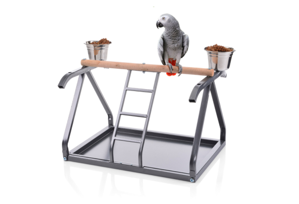 Игровой стенд для птиц Tabletop playstand - Antik 