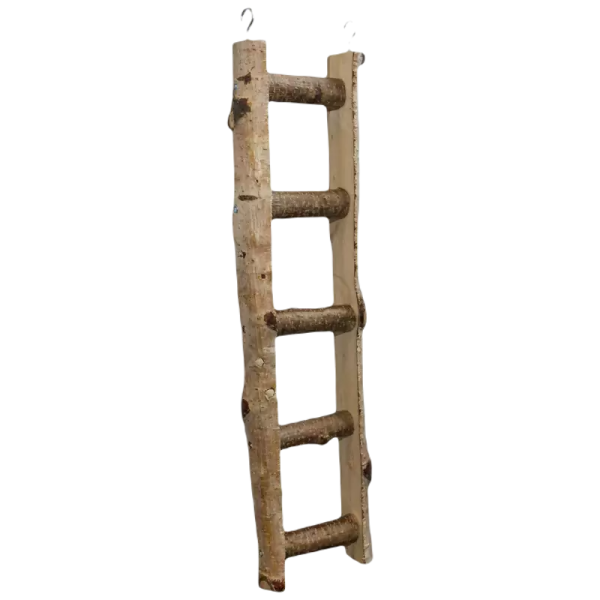 pixlr-bg-result (24)