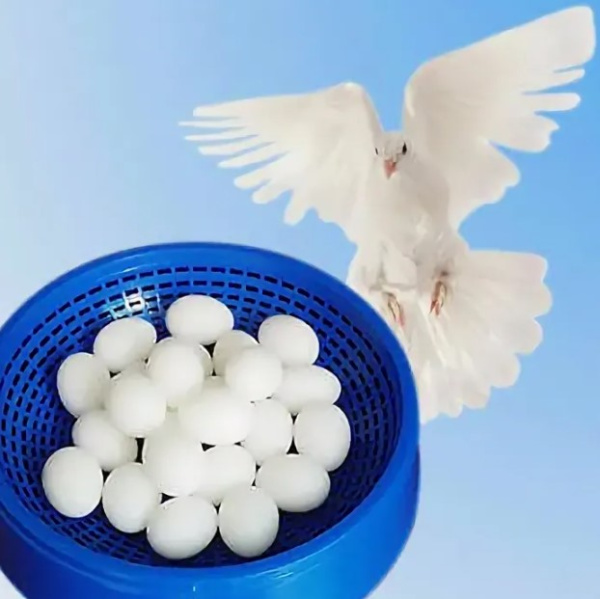 Яйцо пластиковое голубиное Pigeon's egg