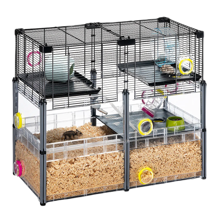 pixlr-bg-result (33)