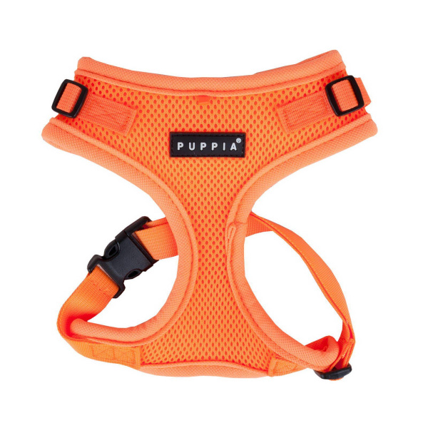 s8ygmucgtjkukku6esxwv53td88clf30