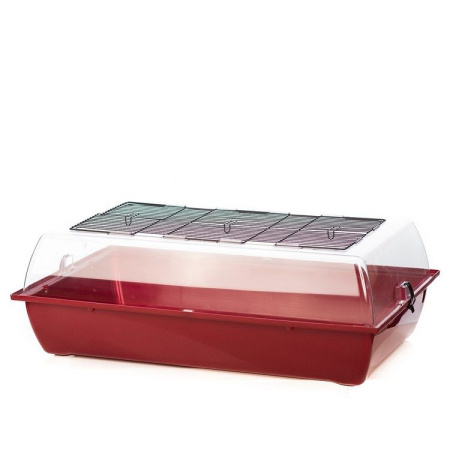 Inter-Zoo Клетка-террариум для грызунов BIG ALEX пустая 780х480х265 (пластик) G145 