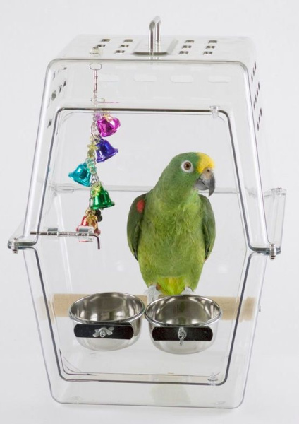 переноска оргстекло