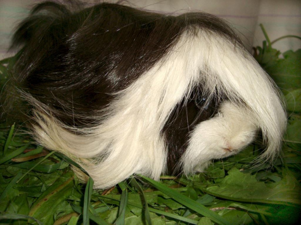 WhatsApp Image 2023-03-05 at 12.35.00