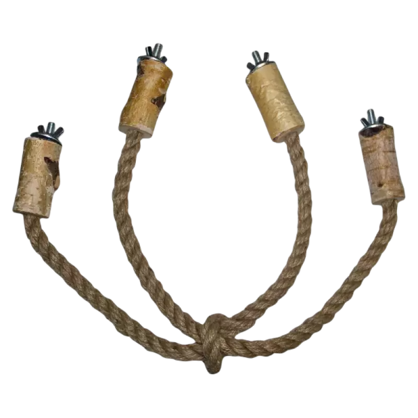 pixlr-bg-result (21)