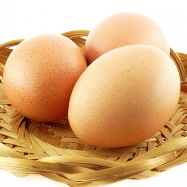 Яйцо пластиковое куриное Сhicken egg