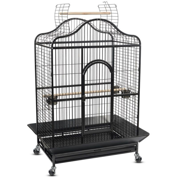 клетка широкая