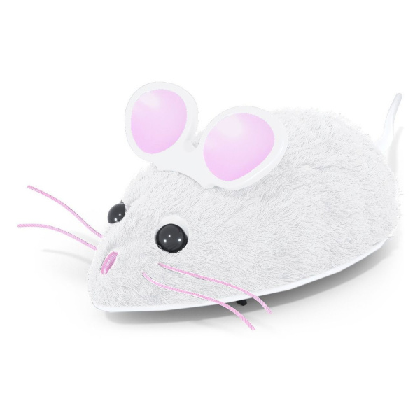 y1slmr9zetgr11rfo06cov5c3rcwxniu