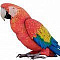 Крупные попугаи