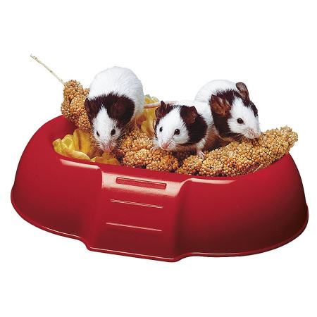 Миска DADA для грызунов