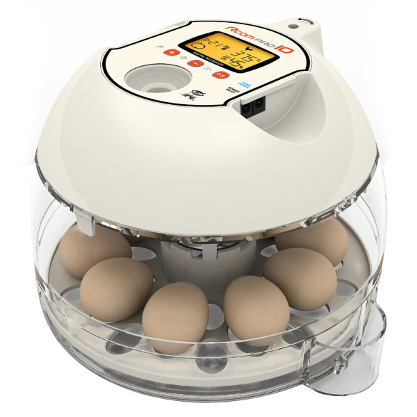 Rcom Инкубатор 10 PRO