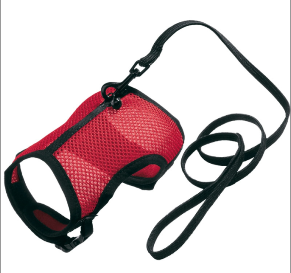Мягкая шлейка с поводком JOGGING LARGE для кроликов