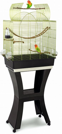 c07099a8e58be6e53cab5344c4632248