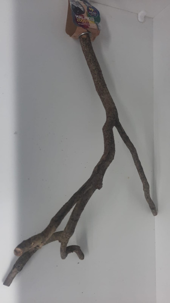 ZM-00000440