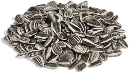 Подсолнечник