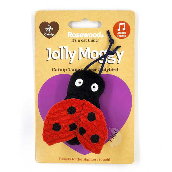 oapdtet8fg5gcme0du1opjzznbf9h3u8