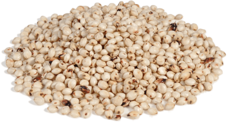 Сорго белое