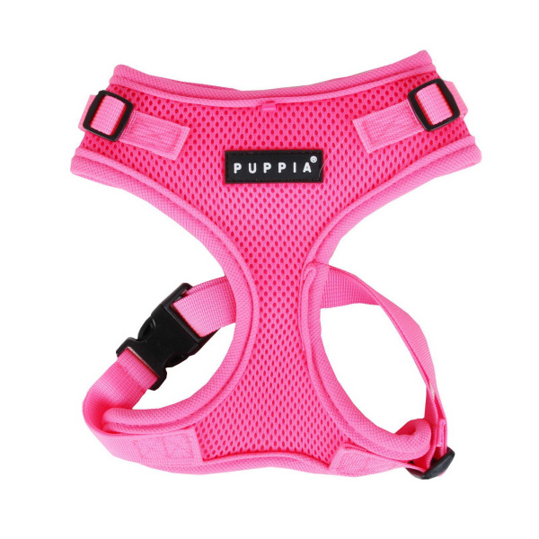 00zyuj60oi8tx16ua2s8c90jmxfrmed9