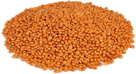 Просо красное