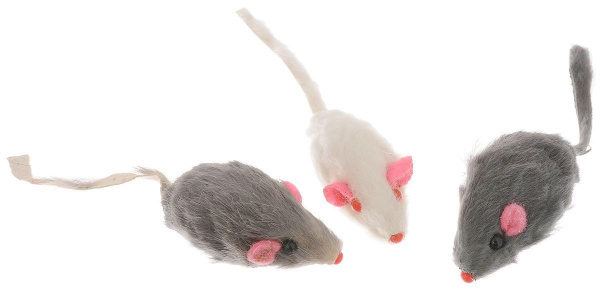 b7lkbyxjavwtt6eg3l66fe2pvkp9g8p3