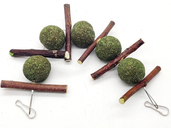 photo_2022-03-23_10-21-56 (2)