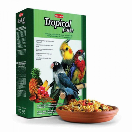 Padovan Tropical Patte корм для средних попугаев с фруктами 700 г