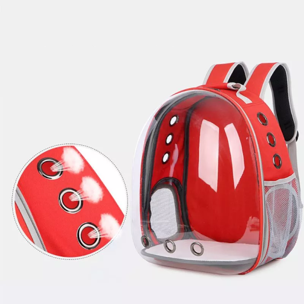 HD-B-SNTBR