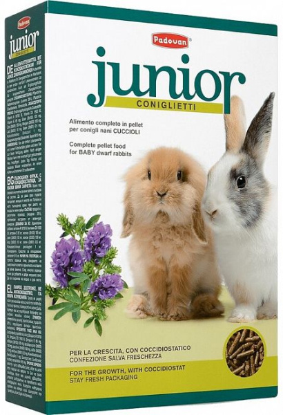 e122c70fbdbfb083269a906a520d4cac