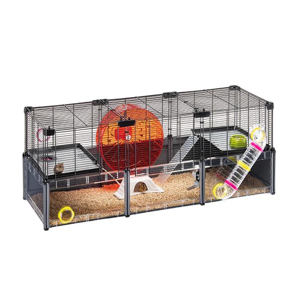 pixlr-bg-result (34)