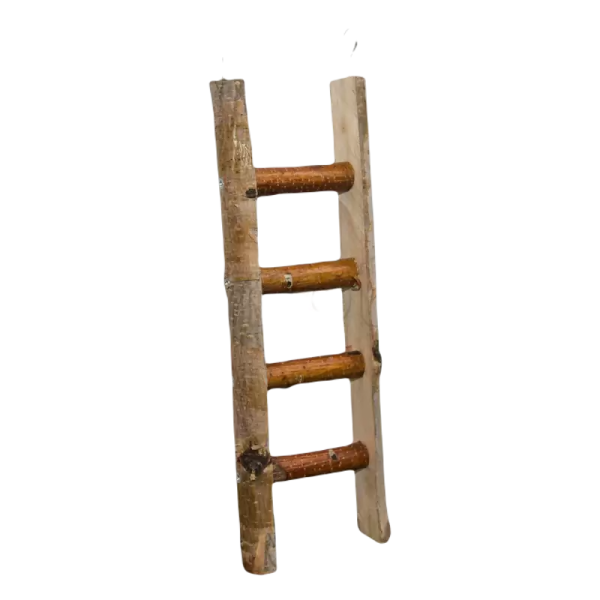 pixlr-bg-result (19)