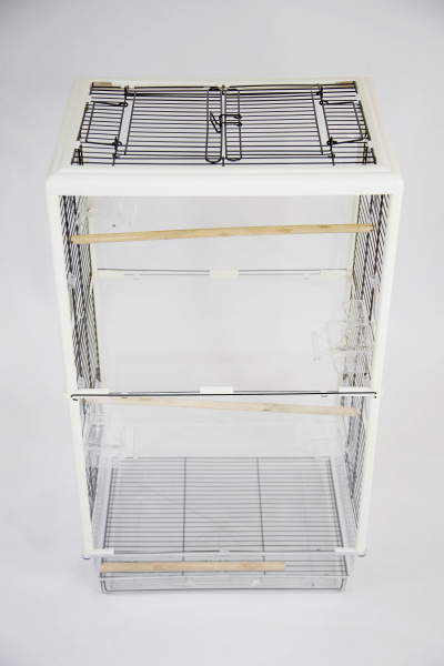фас