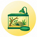 Товары для рептилий