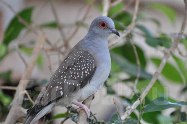 1710154750520_bulletin