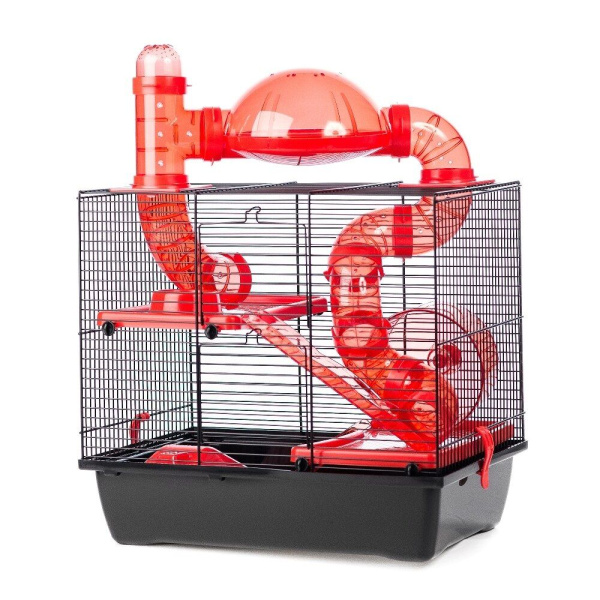 G137-131-ROCK-Terrace-420-290-500